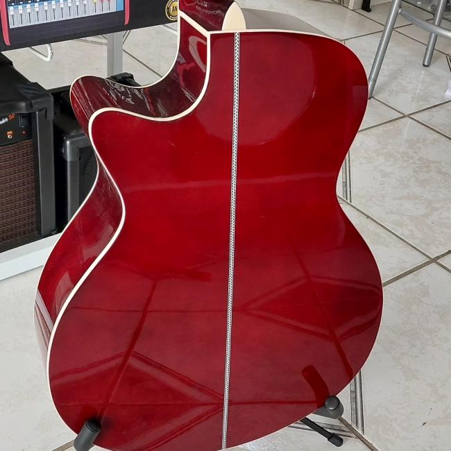 Viol�o eletroac�stico 